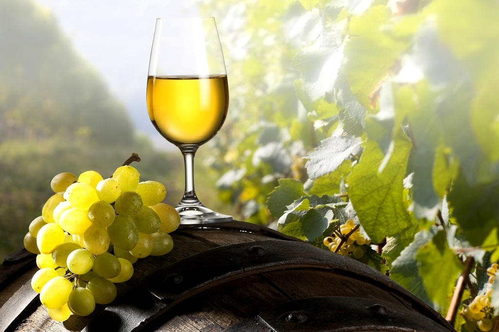Vinho Verde: Exploring Portugal's Refreshing Wine